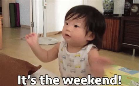All the <strong>GIFs</strong>. . The weekend gif